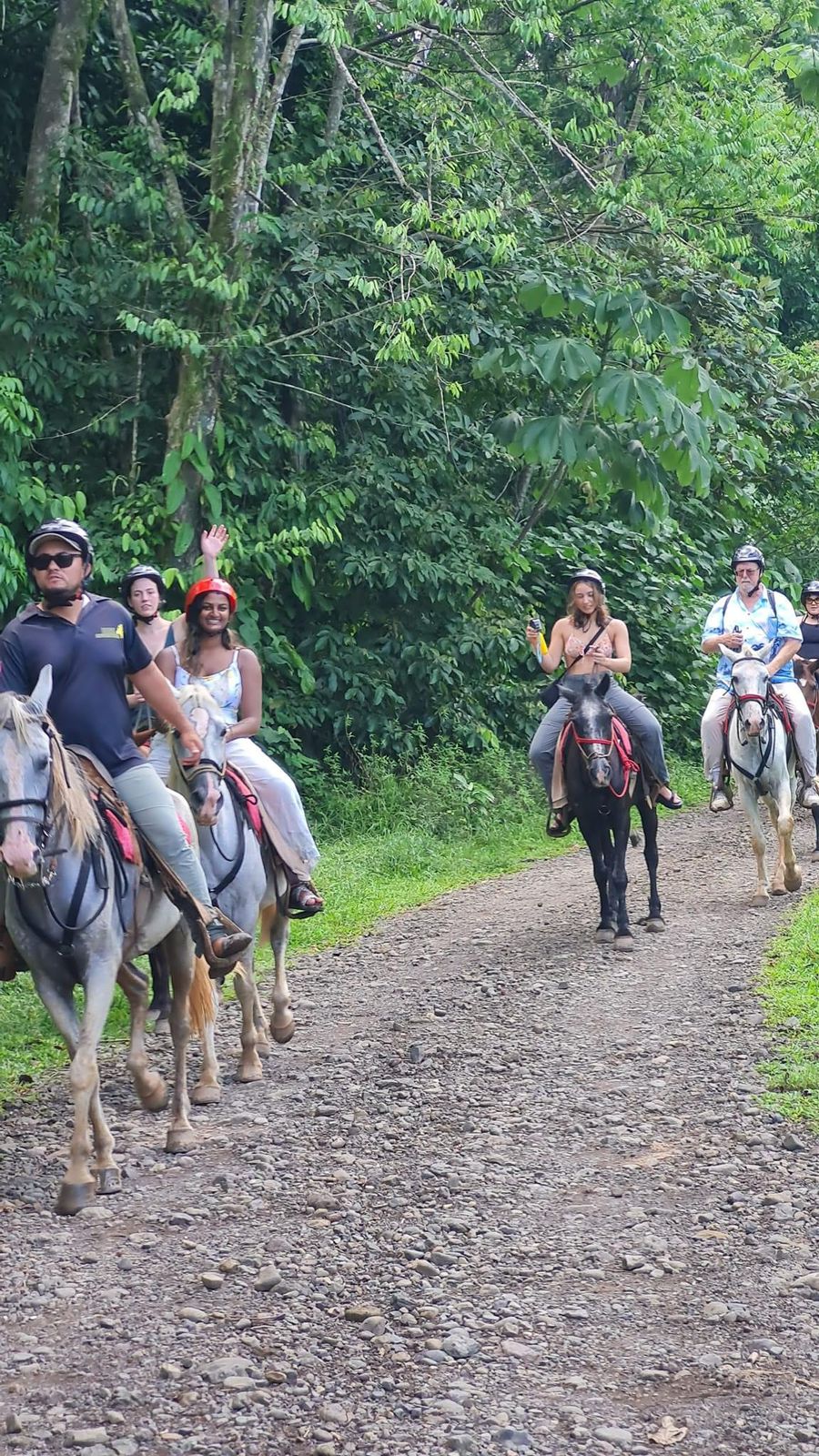 Horse on a trail in Manuel Antonio rainforest during the horseback riding tour