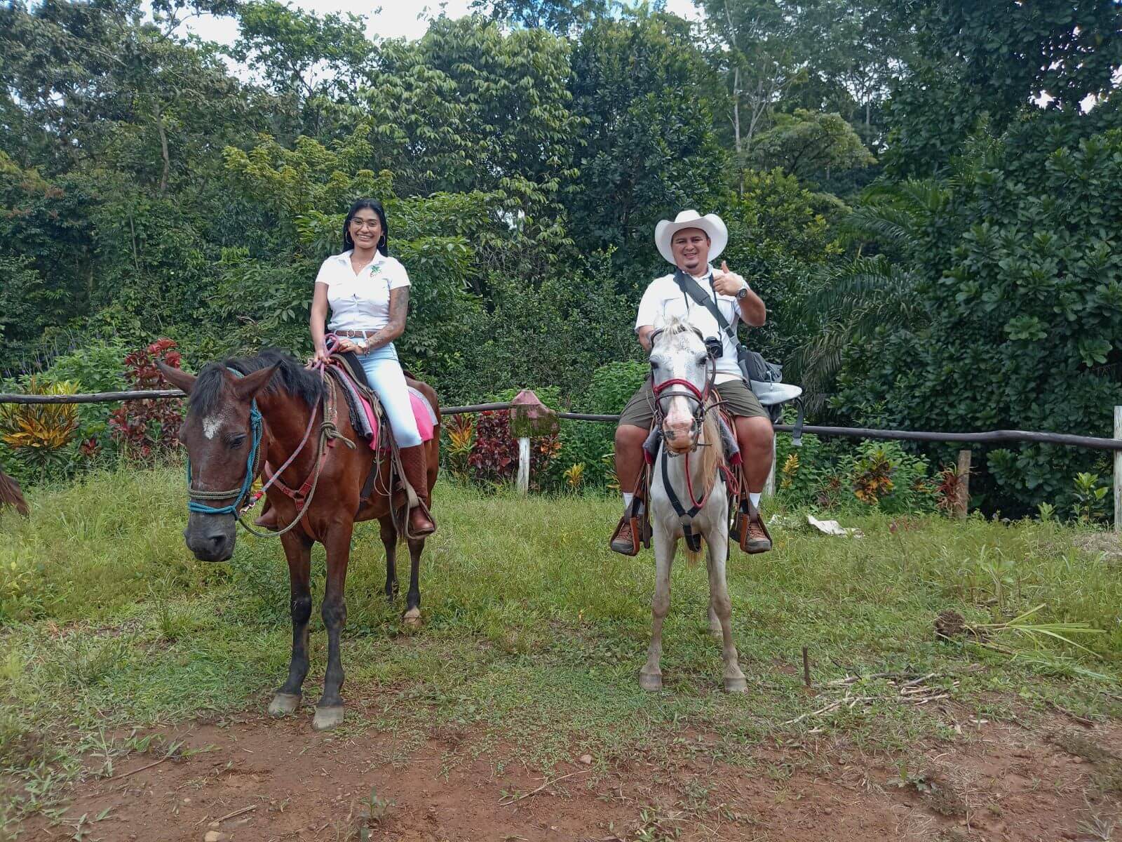 Horse on a trail in Manuel Antonio rainforest during the horseback riding tour