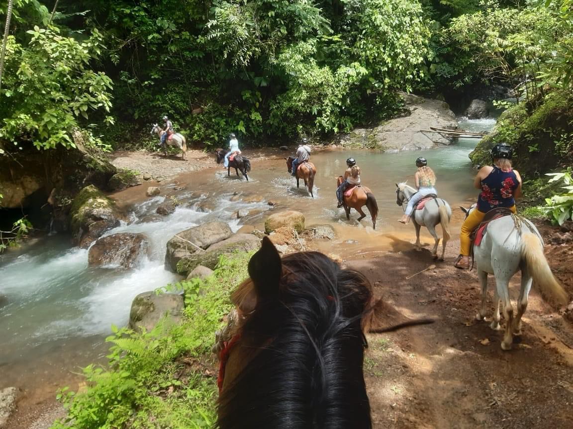 Local wildlife spotted on the Manuel Antonio Horseback Riding tour