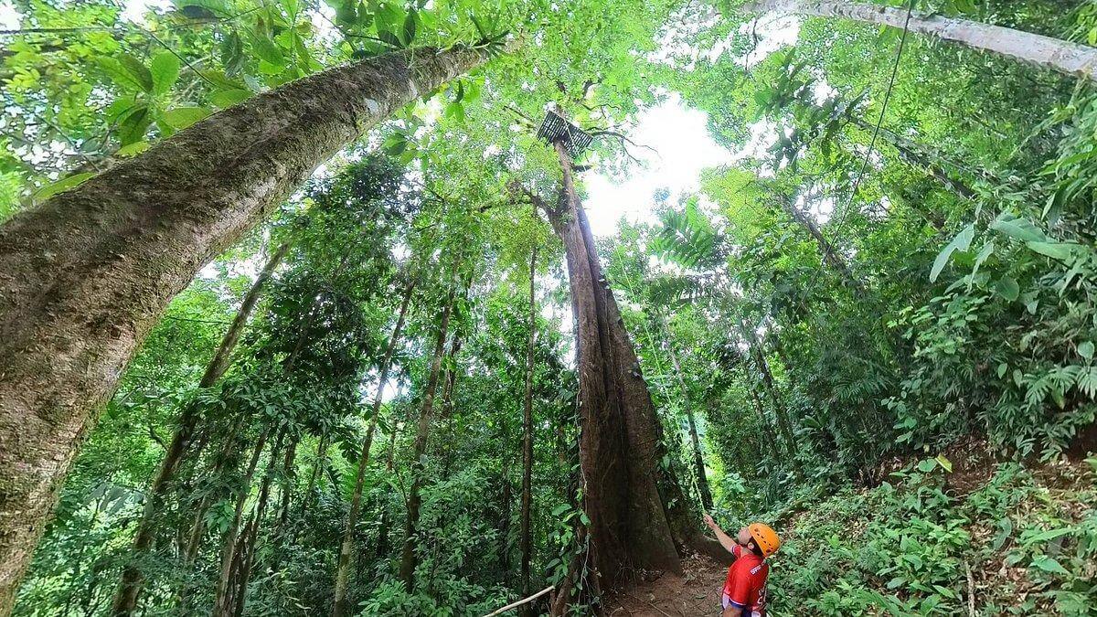 Panoramic view of the lush green rainforest from the treetops during the Manuel Antonio canopy tour