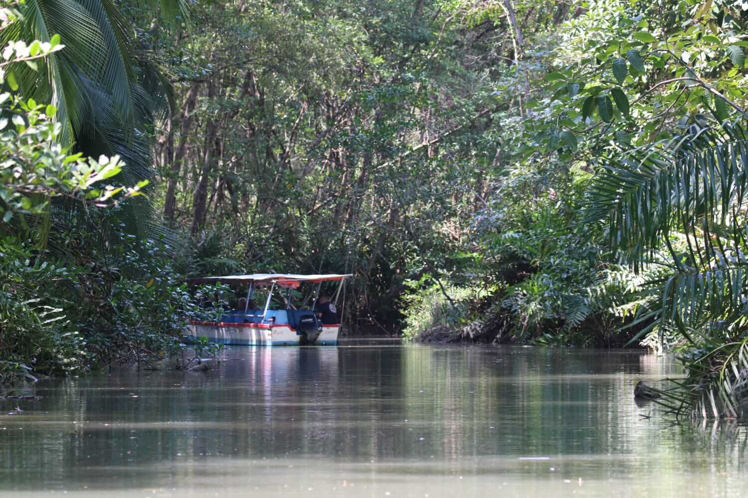 Beautiful scenery of Damas Island on the Mangrove Boat Tour