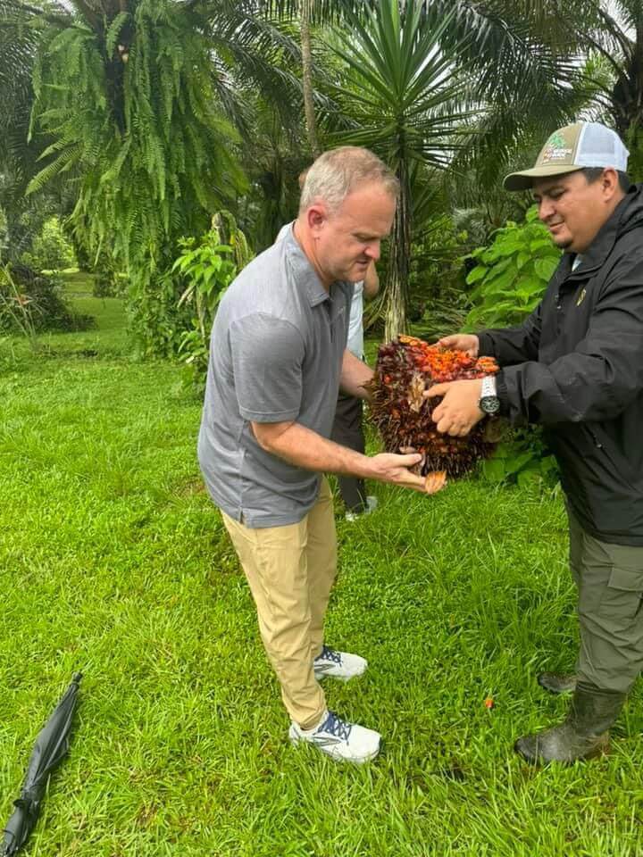 Guided walk through a cacao farm in Manuel Antonio